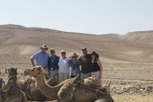 David Wexler Camels